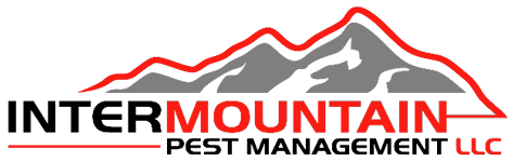 Boise's Intermountain Pest Management